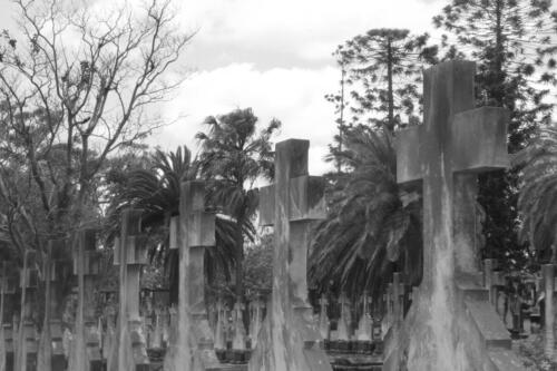 Untitled monochrome photograph by Laura Garretty